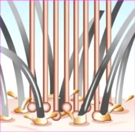エス・ハート・エス スカルプブラシ ワールドモデル （ショート） ピンクゴールド