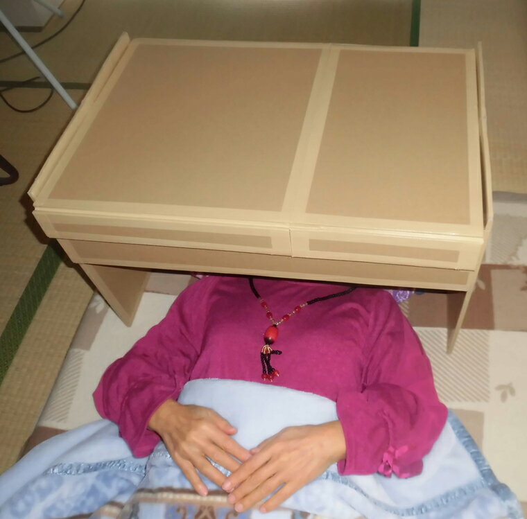 かぶって寝るまくらをご紹介 暮らしやすさ試行錯誤