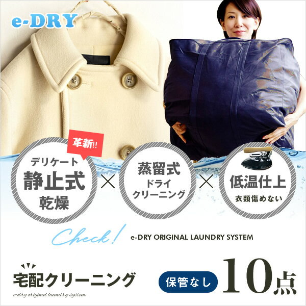 ★プレゼントあり★ クリーニング 宅配クリーニング ＼ブロガー推薦！／ 詰め放題 最大10点 クリーニング カシミアクリーニング スキーウェアクリーニング 天然石鹸クリーニング 【サービス特集認定商品】