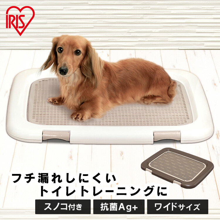 保護犬のトイレトレーニング 保護犬コーギー ハッチのくらし