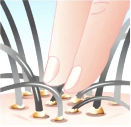 エス・ハート・エス スカルプブラシ ワールドモデル （ショート） ピンクゴールド